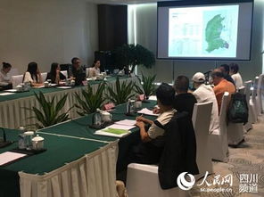 熊貓之都 總體策劃及概念性規(guī)劃國際咨詢中期匯報及研討會舉行