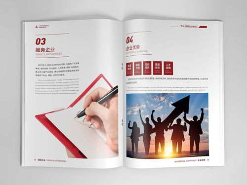 咨詢公司畫冊設計
