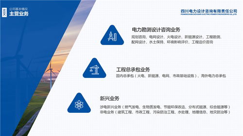 北京產權交易所 四川電力設計咨詢有限責任公司 混合所有制改革項目推介